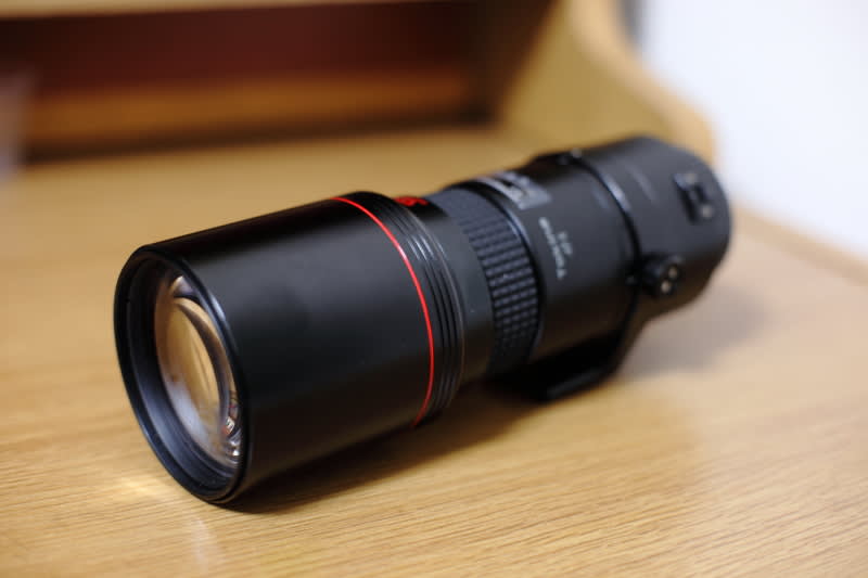 野鳥シーズン突入の今だからTokina AT-X AF 400mm 1:5.6を再評価 野鳥シーズン突入の今だからTokina AT-X AF 400mm 1:5.6を再評価