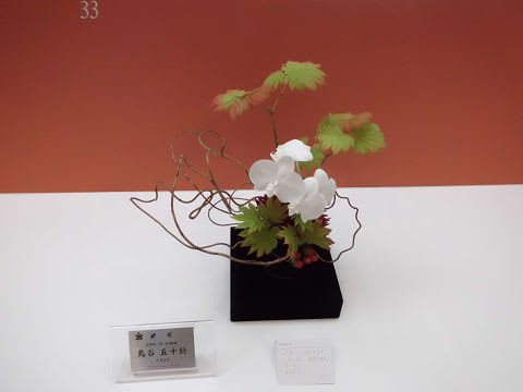 2013年旧七夕会 小品自由花 (高島屋1次展) - 香光のいけばな記 2013年旧七夕会 小品自由花 (高島屋1次展) - 香光のいけばな記