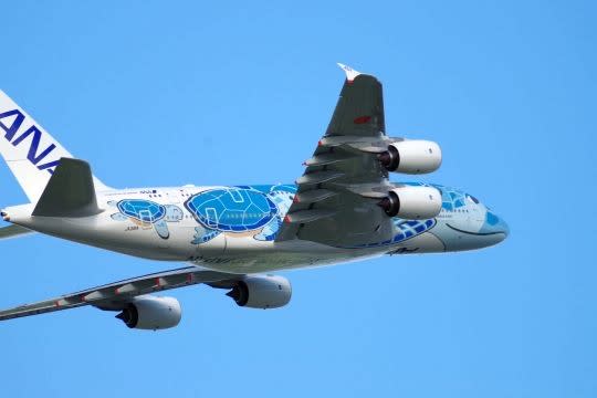 ANA A380 FLYING HONU(フライング・ホヌ) - デミー太くん と ANA A380 FLYING HONU(フライング・ホヌ) - デミー太くん と