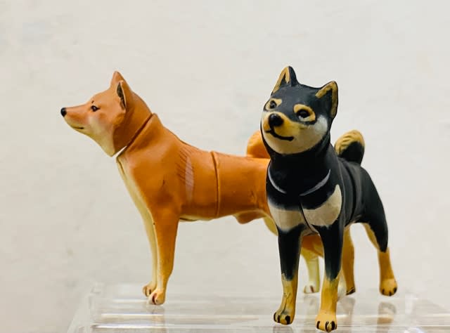 Amazon.co.jp: チョコQ ペット動物5 第5弾 フレンチブルドッグ