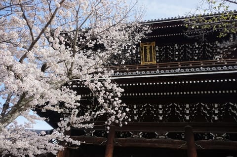 幕末に生まれた剣聖 内藤髙治先生の菩提寺「金戒光明寺」の塔頭