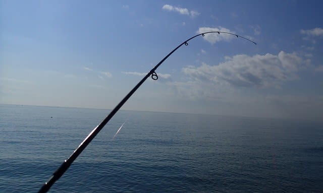 月下美人 EX AGS AJING 64.5L-S 羽軸 インプレ - Trip to the 月下美人 EX AGS AJING 64.5L-S 羽軸 インプレ - Trip to the