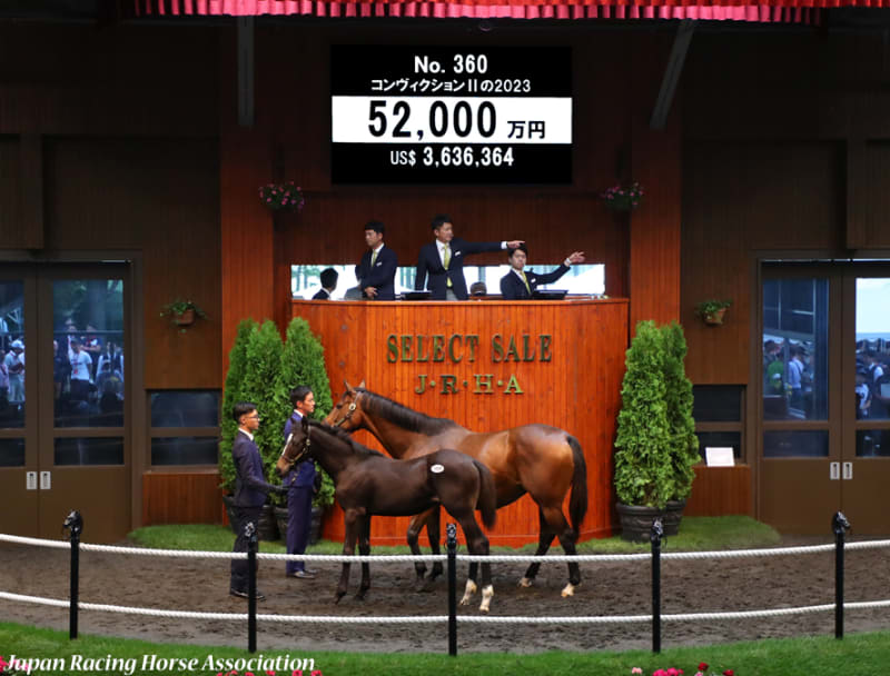 セレクトセール2012 セール結果 - JRHA（一般社団法人 日本競走馬協会）