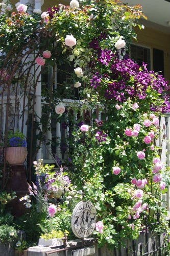 クレマチス バラのアーチ 小さな庭の花日記