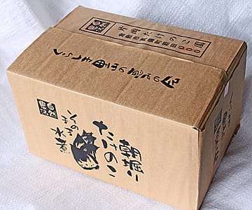 ファッション好きが選ぶ人気ブランドランキング 岡山・片岡たけのこ園の「朝堀り無農薬生たけのこ」 「オジー - Vegetables
