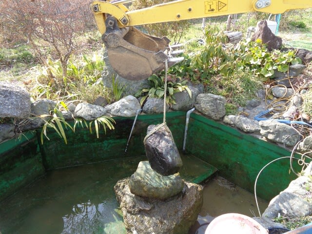 池の掃除 - さとやま菜遊記
