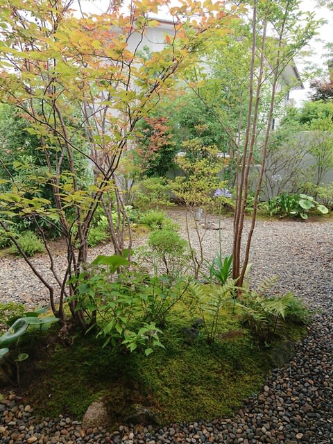 ナツハゼのある素敵な植栽 - オーデック ブログ ナツハゼのある素敵な植栽 - オーデック ブログ