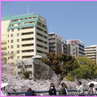 「桜ノ宮」から満開の大川河畔を歩く（2）