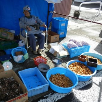 きのこ出たかと、朝市に行ってみた。