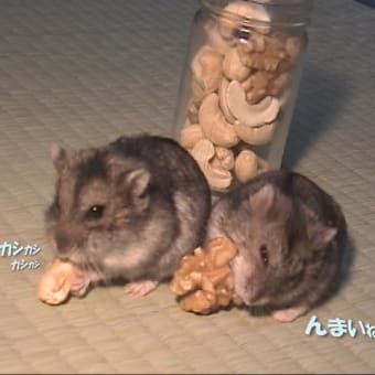 「不正にお金を手に入れたかた」って？
