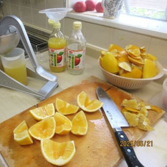 これで終わり「レモン果汁」しぼり。🍋