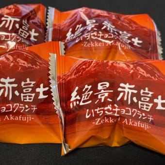 富士山登頂土産他
