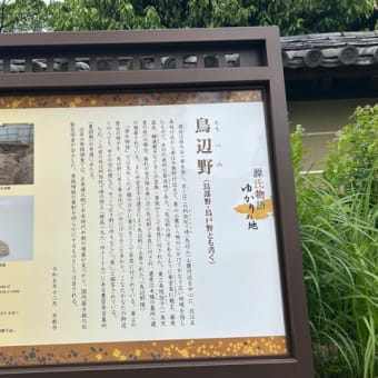 今熊野かいわい