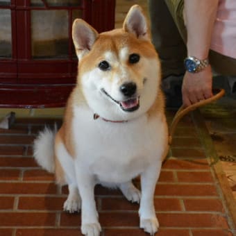 なな