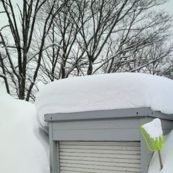 新見温泉の雪具合