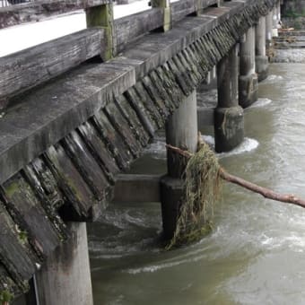 2018 7 8  鴨川（西日本豪雨その後）