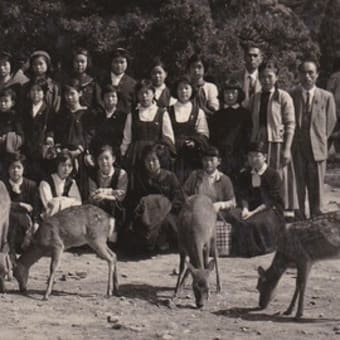 中学・関西修学旅行 （奈良公園にて）