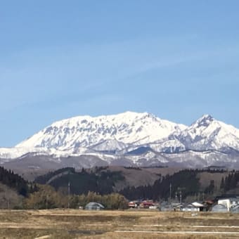 春