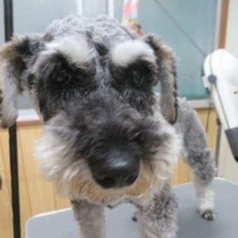 1週間のお仕事が無事終了致しました～！！