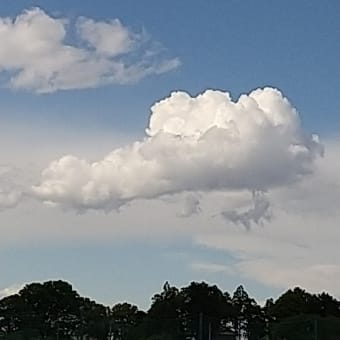 今の子どものために将来の子どものために