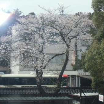 初めての入院生活