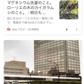 ２つも同時にGoogleのおすすめの記事に