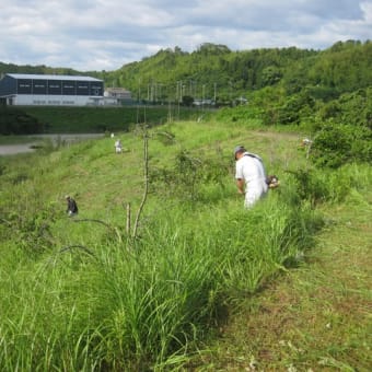 「草刈り作業」