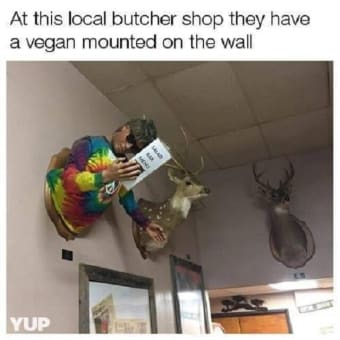 One Vegan SJW On The Wall Please. ๐๐๐๐๐๐
๐๐คฃ๐๐ฆ๐๐๐ซโฐ๏ธ๐ผ๏ธโฑ๏ธ