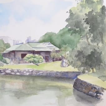 睡蓮 F(6) - 水彩画を友として : 旧退職おじさんの水彩画日記 睡蓮 F(6) - 水彩画を友として : 旧退職おじさんの水彩画日記