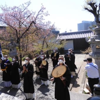 日蓮大聖人御降誕800年
