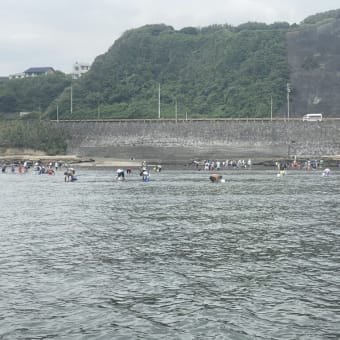 逗子海岸の1日