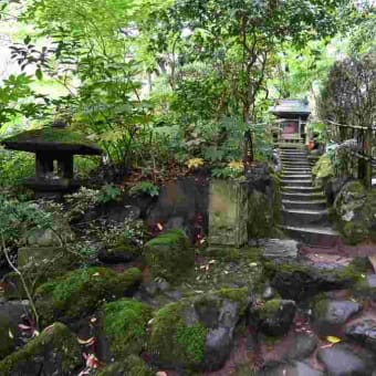 名勝・本間家旧別邸庭園「鶴舞園」に