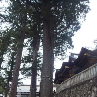 三峯神社の「気」守り。