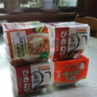 納豆定食～雑感