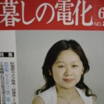 表紙の美人が気になるんです。