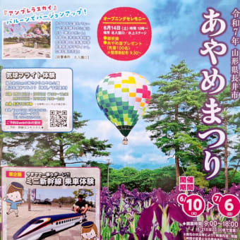 長井あやめまつり　あやめらんど