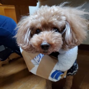 病院三昧　リク編