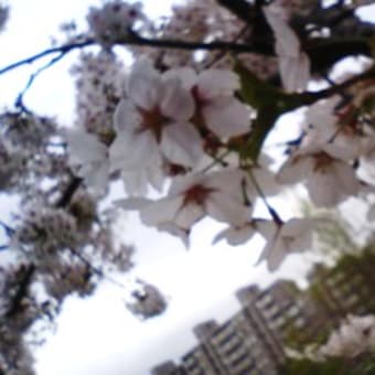 第27回北の日本画展のお知らせ
