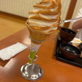 今日は母の日だよ