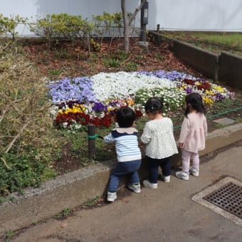 １歳児お別れ遠足