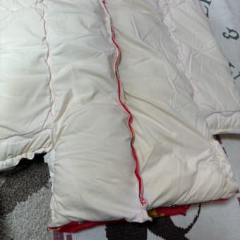 幼児用から犬用へ