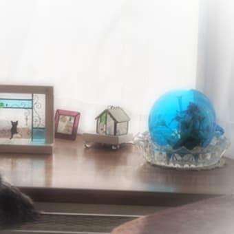 またまたお引っ越しします　（＾＾；）