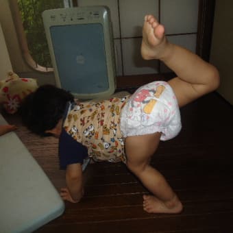 やってくれるね、息子さん