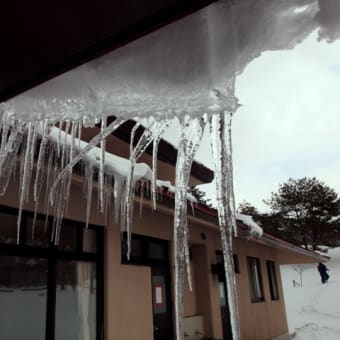 雪を見に行く