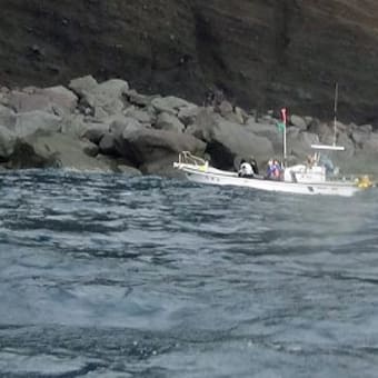 伊豆諸島８島制覇の旅《後編》　八丈島・御蔵島・三宅島・伊豆大島４島めぐり　１０回目　御蔵島