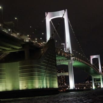 隅田川を屋形船でナイトクルーズ！東京の夜景！
