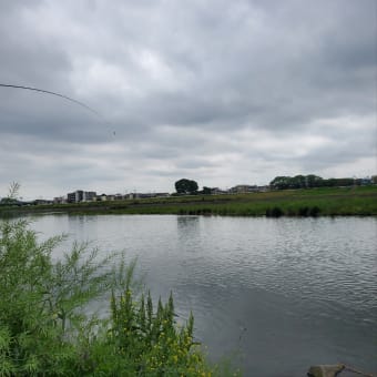 散歩にきた