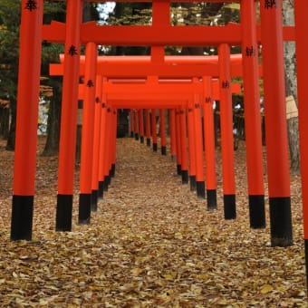 みちのくの名園 その2 ～牡丹園編～