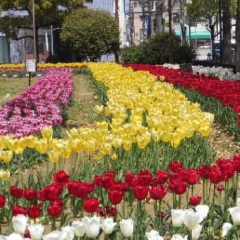 遅かった「春」もまもなく終わり、初夏へ