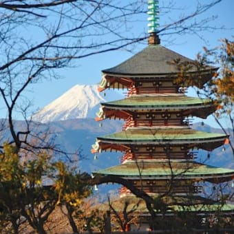 富士山みるなら、、、沼津？